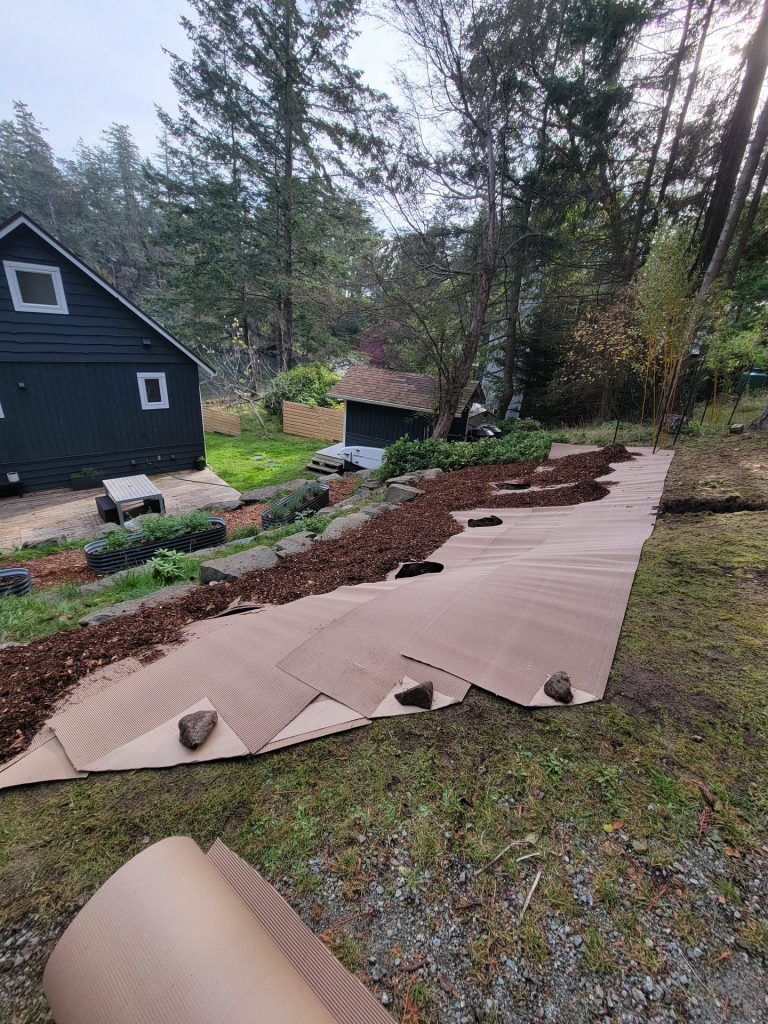 Sheet mulching a new garden bed with paper and wood chips